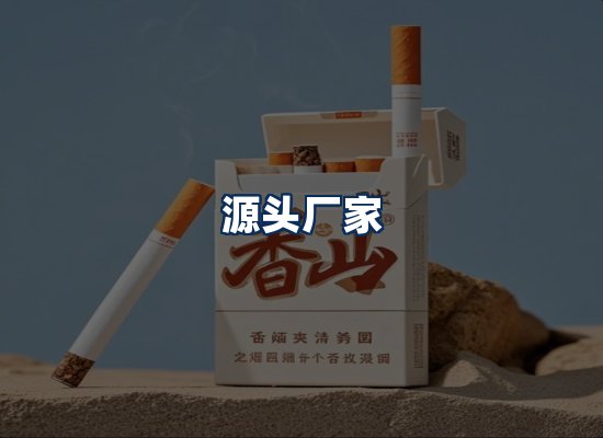 专业团队办公环境
